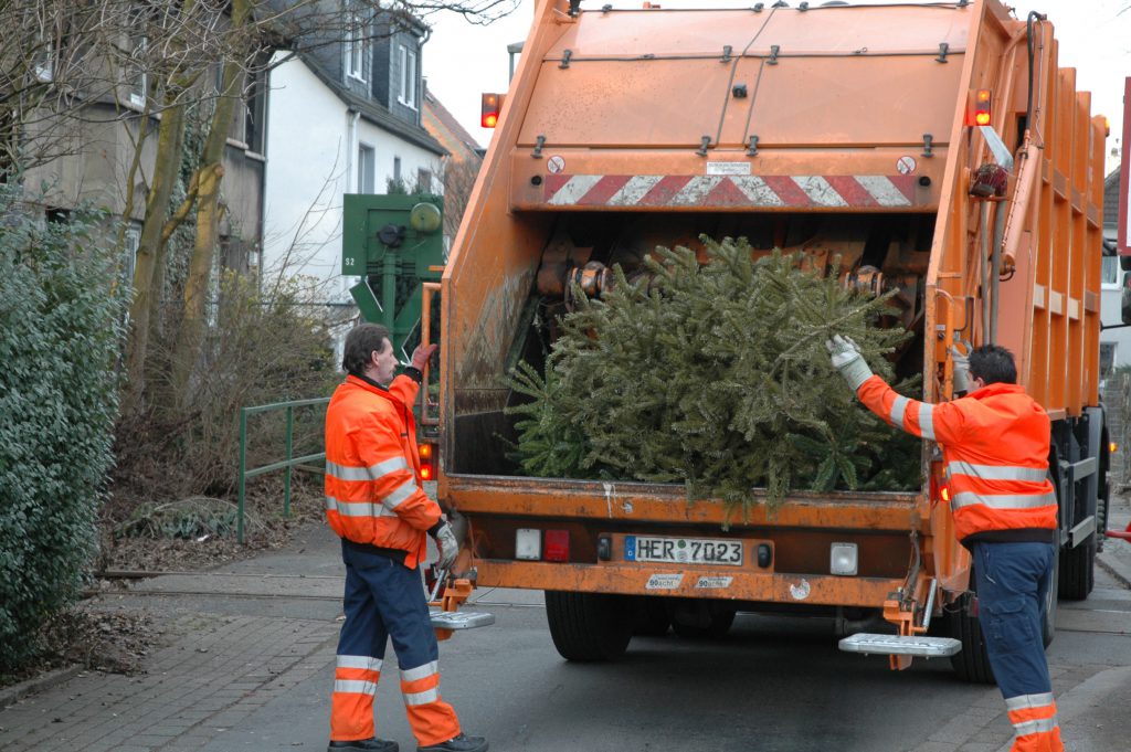 Müllwerker holen die Weihnachstbäume ab